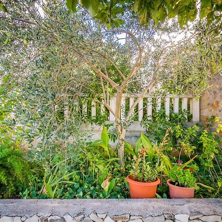 Cheap Apartment Tanja Trogir Kültér fotó